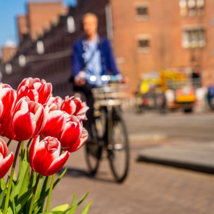 Work in the Netherlands